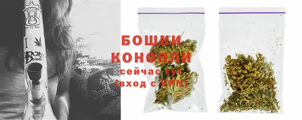 дживик Горнозаводск