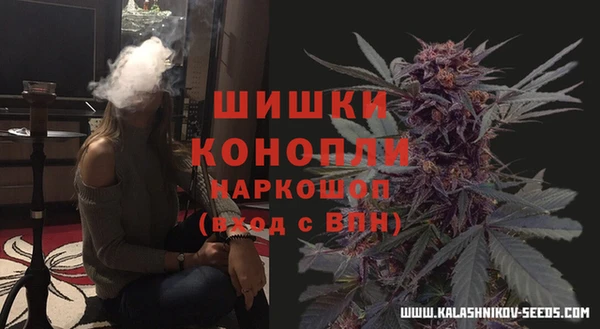 дживик Горнозаводск