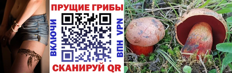 Галлюциногенные грибы ЛСД  Серпухов 